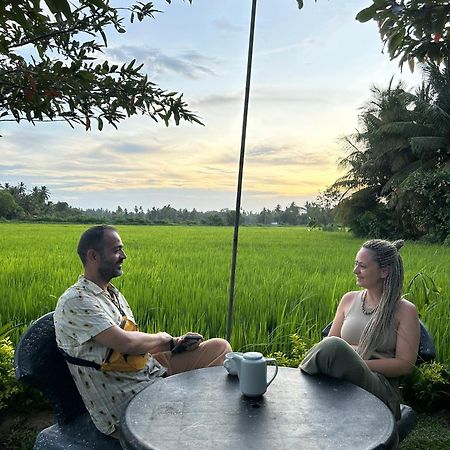 Viveka Inn Guest And Yala Safari Tissamaharama Zewnętrze zdjęcie