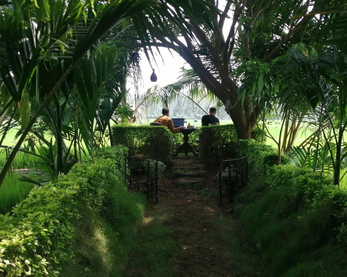 Viveka Inn Guest And Yala Safari Tissamaharama Zewnętrze zdjęcie