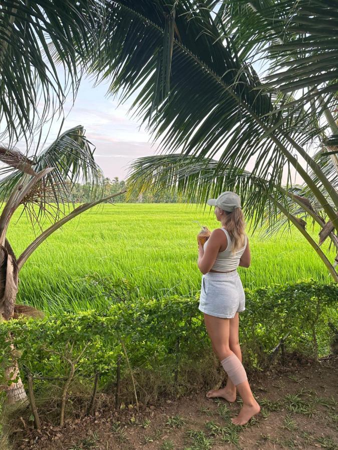Viveka Inn Guest And Yala Safari Tissamaharama Zewnętrze zdjęcie