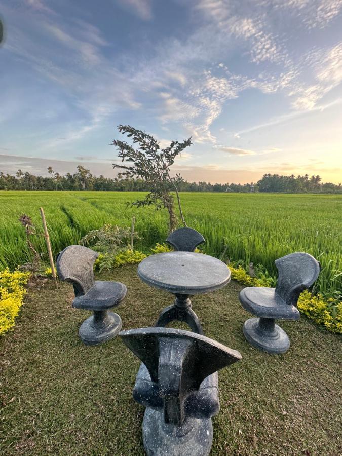 Viveka Inn Guest And Yala Safari Tissamaharama Zewnętrze zdjęcie