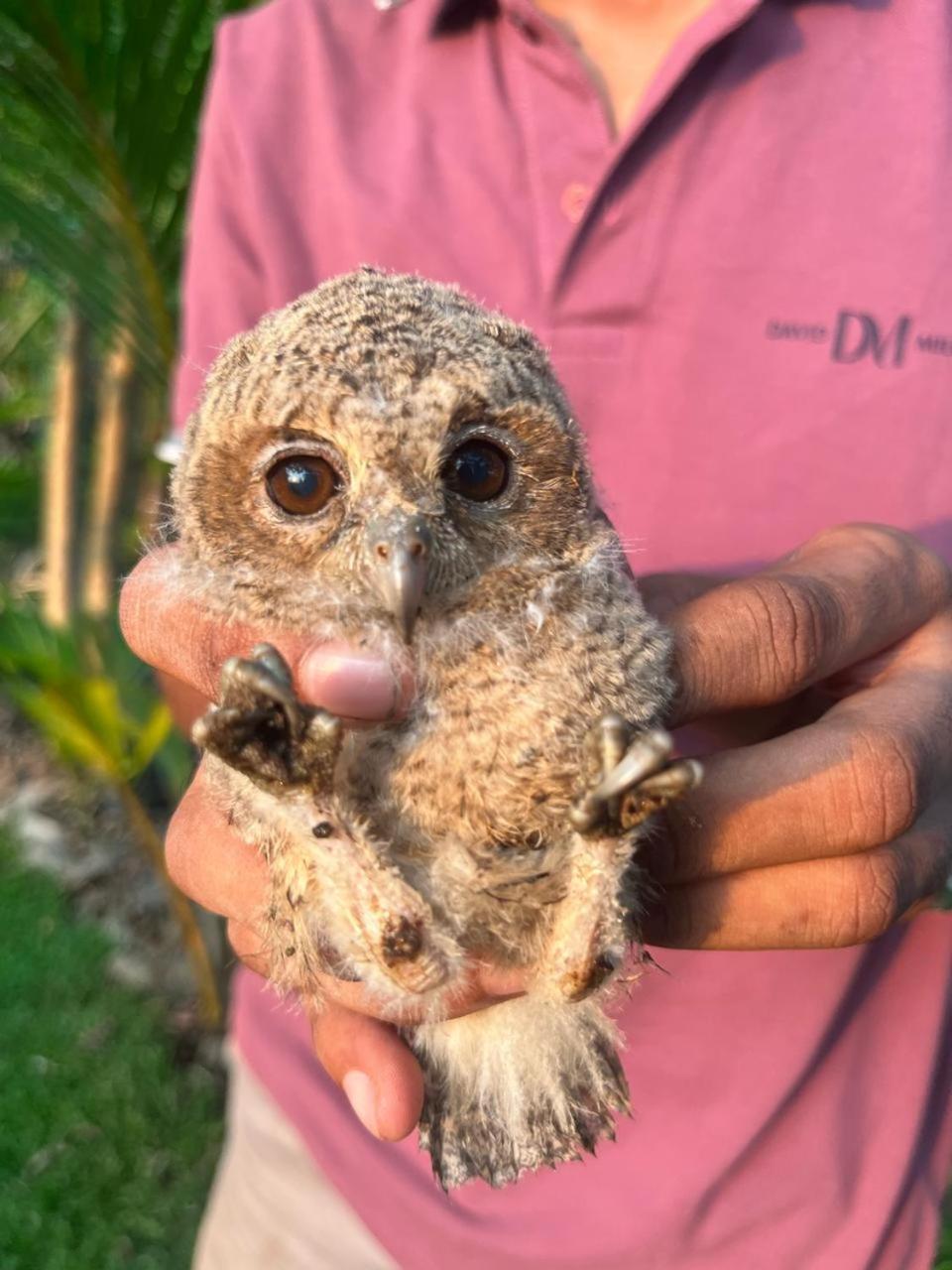Viveka Inn Guest And Yala Safari Tissamaharama Zewnętrze zdjęcie