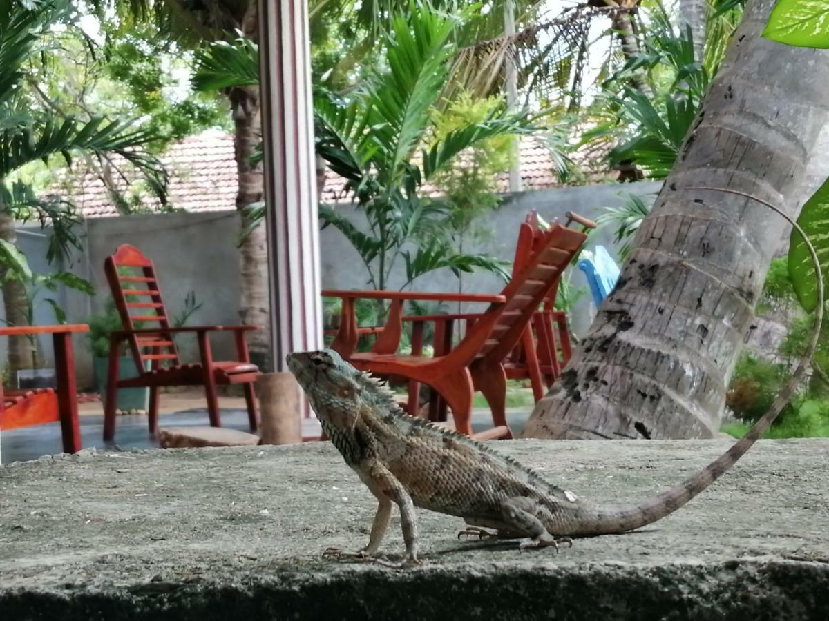 Viveka Inn Guest And Yala Safari Tissamaharama Zewnętrze zdjęcie